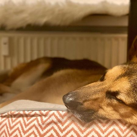 194 Fewo Dat Luetjehuus Mit Dachterrasse Im Ersten Stock Luetjenburg Luaran gambar